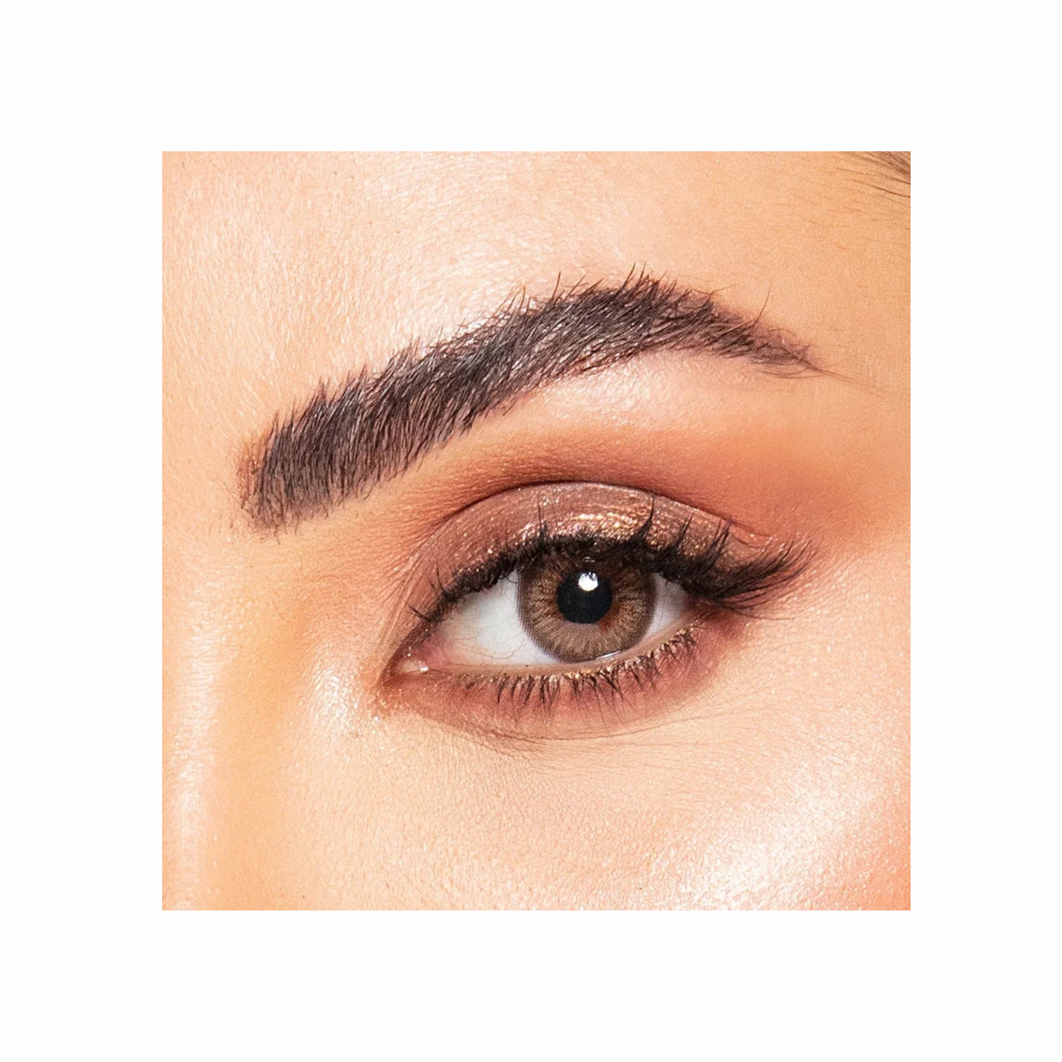 Amara - Moon Stone (One Day) - 10 Lenses
