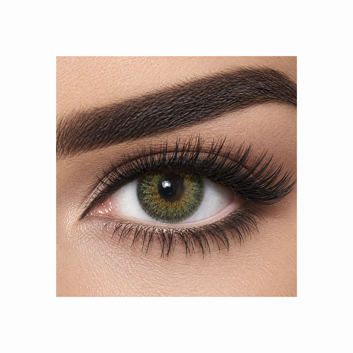Bella Contour Collection - Green Contact Lenses by Bella