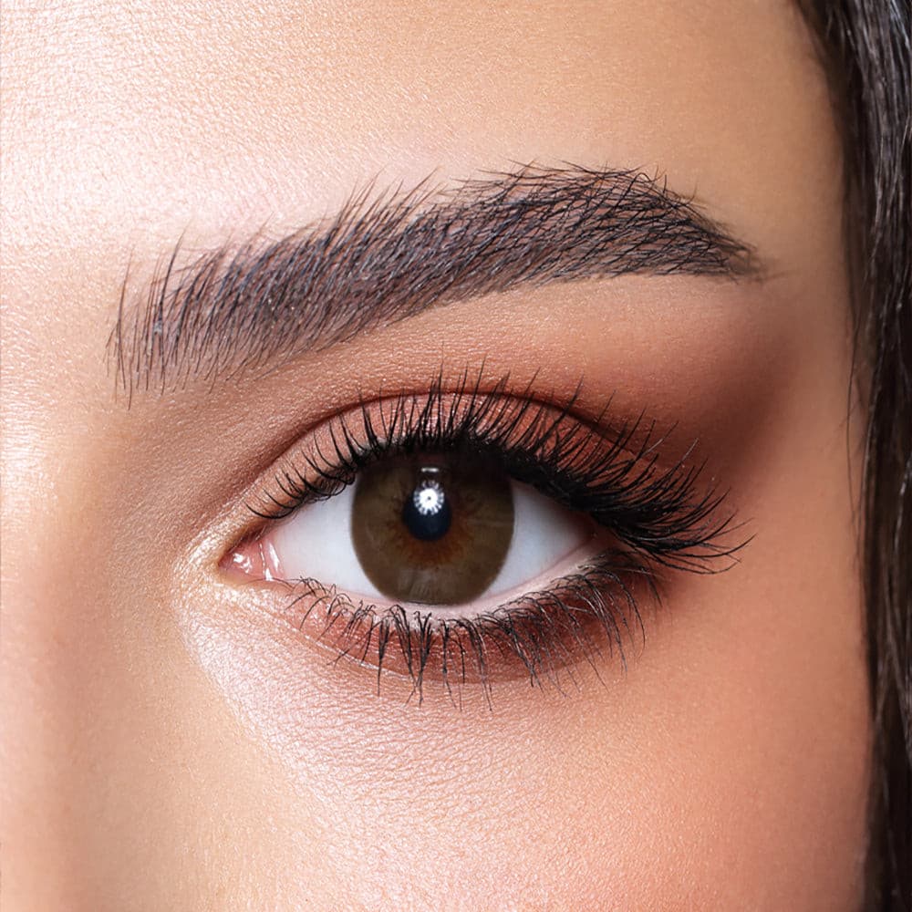 Bella Diamond Collection - Brown Shadow Contact Lenses by Bella