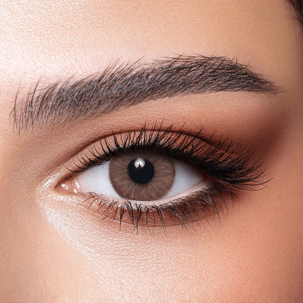 Bella One Day Collection - Cove Contact Lenses by Bella