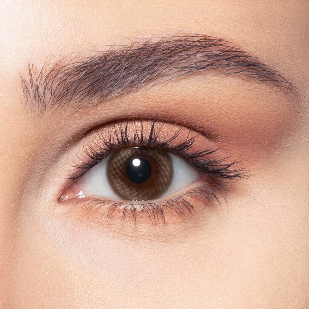 Bella One Day Collection - Venus Contact Lenses by Bella