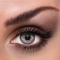Lacelle Tri-Kolor - Gray- 2 Lenses Monthly