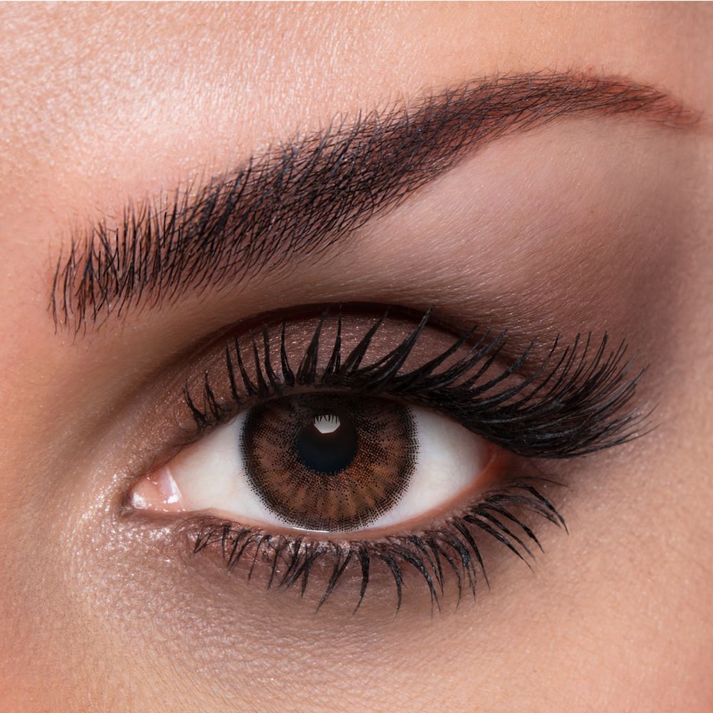 Lacelle Tri-Kolor - Stylish Brown- 2 Lenses Monthly
