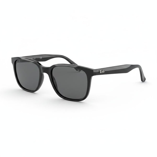 RayBan RB4391D Square Sunglasses Black Grey